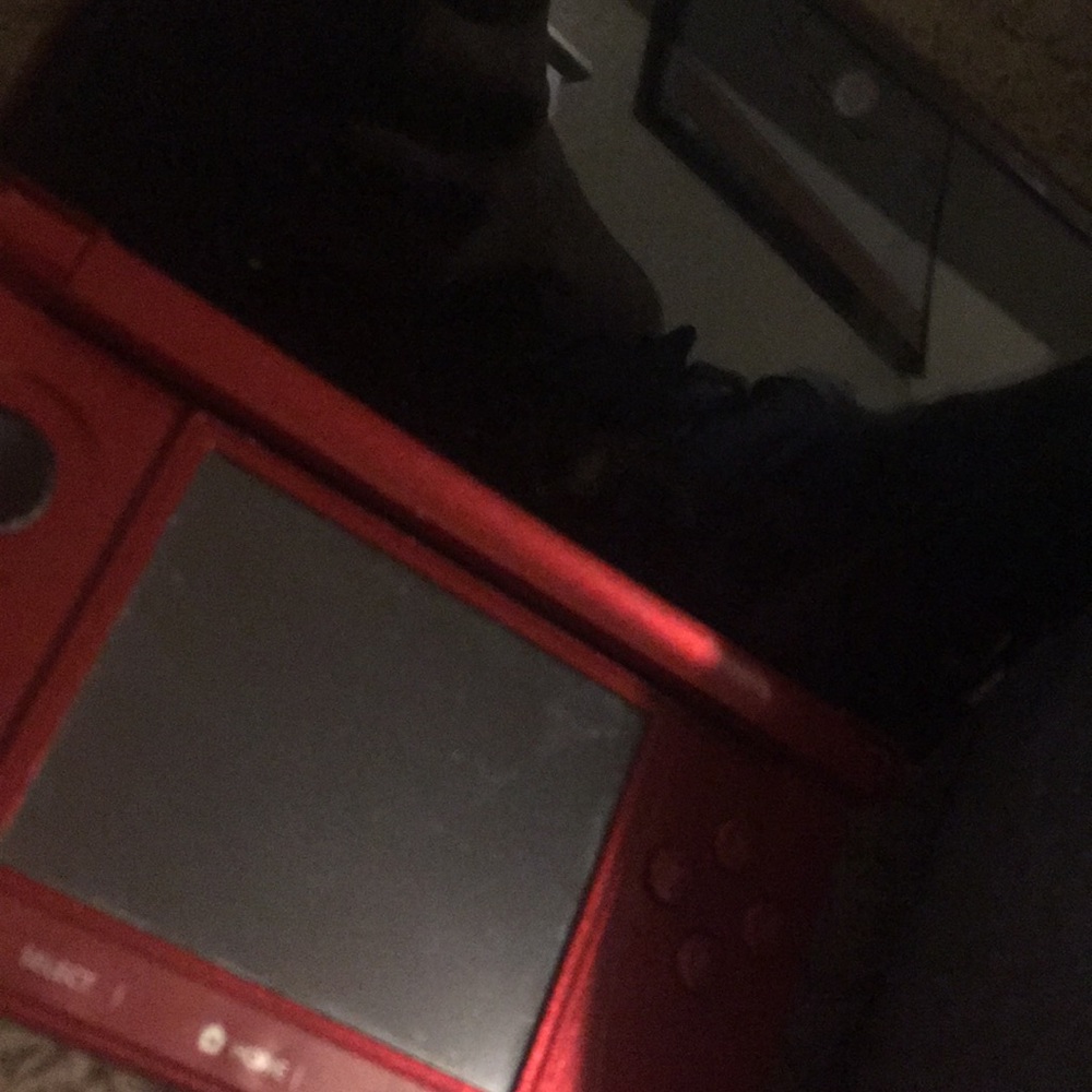 Nintendo 3ds